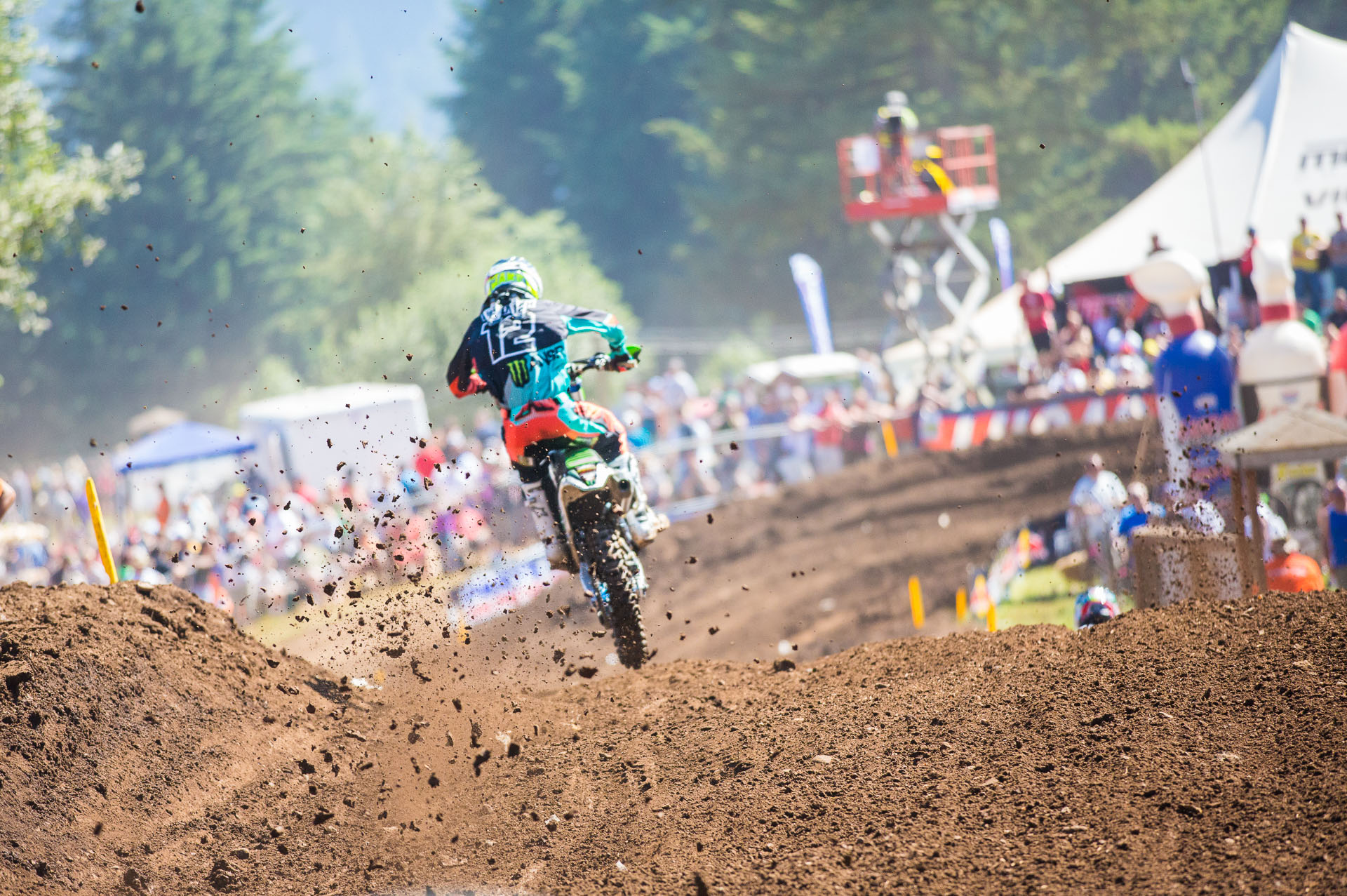 MacHolt_2014_Web_MacHolt_2014_Web_2014_-8