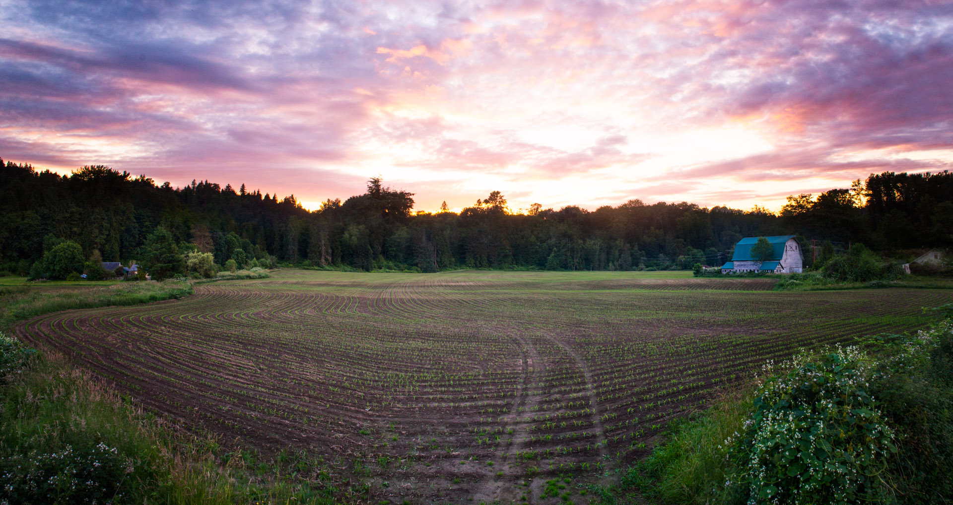 Farm Landscape