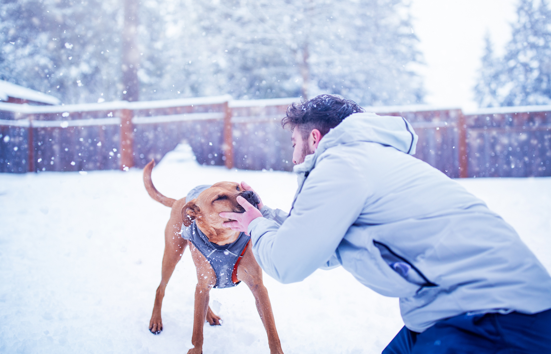 Seattle Snow Day